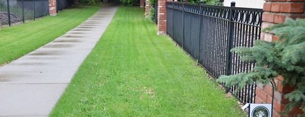 Path between two houses with grass on either side and metal fences