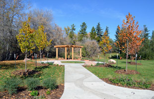 The Healing Garden