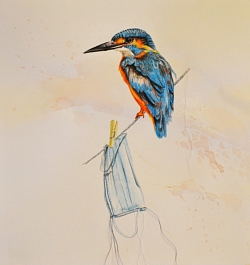 "Kingfisher with Mask" by Colleen Hewitt. Drawing of a bird sitting on a wire that has a face mask pinned to it.