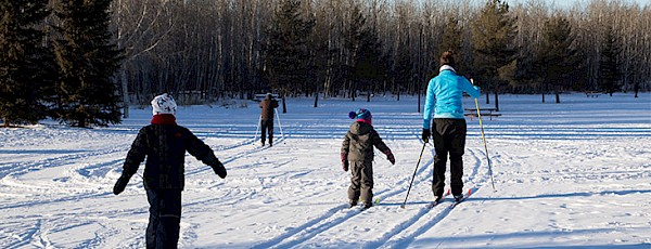 Photo of a family cross-country skiing.