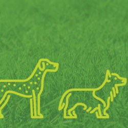 Northwest Dog Park Icon