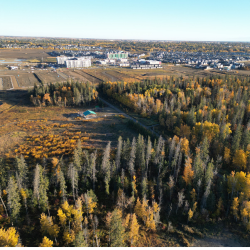 GNWSP and Riverside drone photo