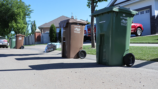 Brown and Green waste carts waiting on the curb for pickup