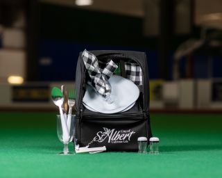 An image of a small picnic bag, plates, utensils
