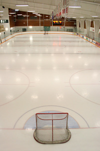 Photo of the ice at Troy Murray arena
