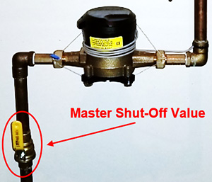 Master water shut-off valve