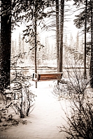 Photo of a bench on a winter's day.