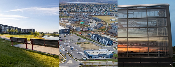 image of park bench and commercial development