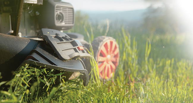 lawnmower mulching