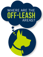 Illustration of dog with thought bubble thinking - Where are the off-leash areas?