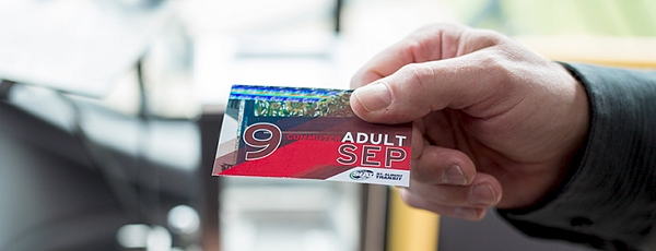 Person displaying a Bus pass to driver