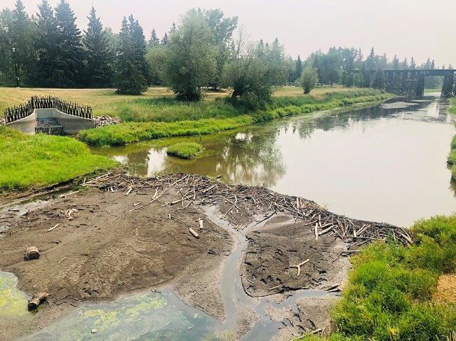 Beaver damn in the Sturgeon River