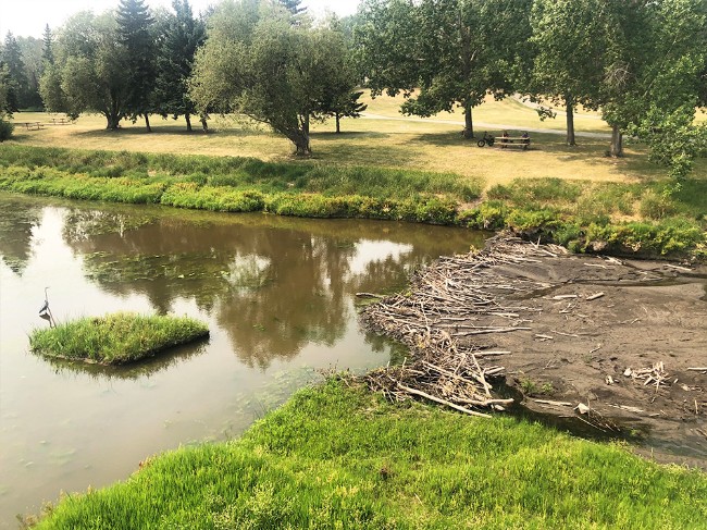 Beaver damn in the Sturgeon River