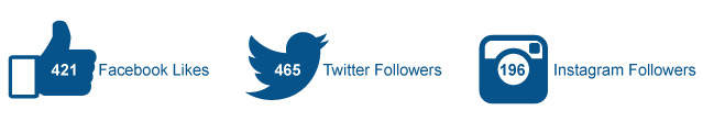 Infographic showing - 421 Facebook Followers; 465 Twitter followers; 196 Instagram followers
