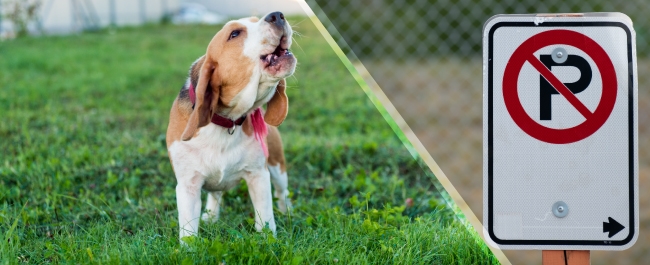A split collage showing a barking dog and a no parking sign
