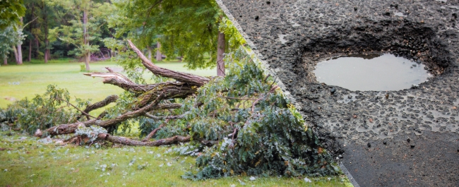A split collage showing a downed tree and a pothole