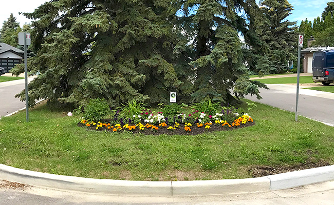 Many planted flowers on a cul-de-sac boulevard