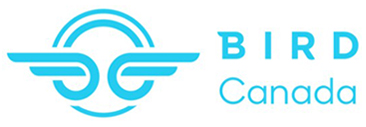 Bird Logo